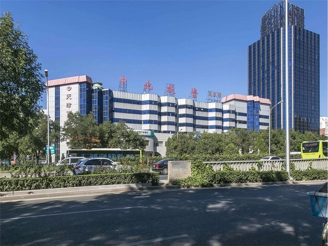 静安商用植物租赁公司